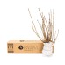 Pre-order  Lilac Collection Heaven Scent, 3 Pack, Purple