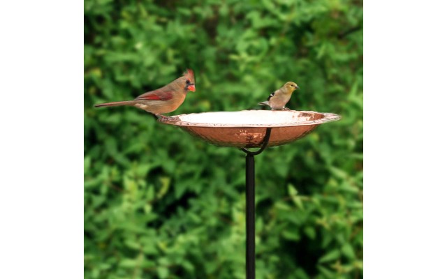 Pure Copper Standing Bird Bath by 