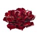 Ruby Rose Succulent by Desert Steel
