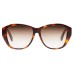  SLM8F Brown Sunglasses