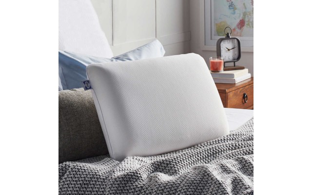  Clean Comfort Memory Foam Pillow, Standard