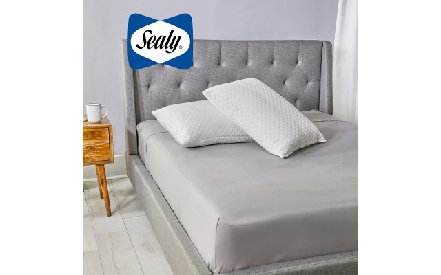  Sterling Collection Frost Pillow, 2-pack, One Color, King Size