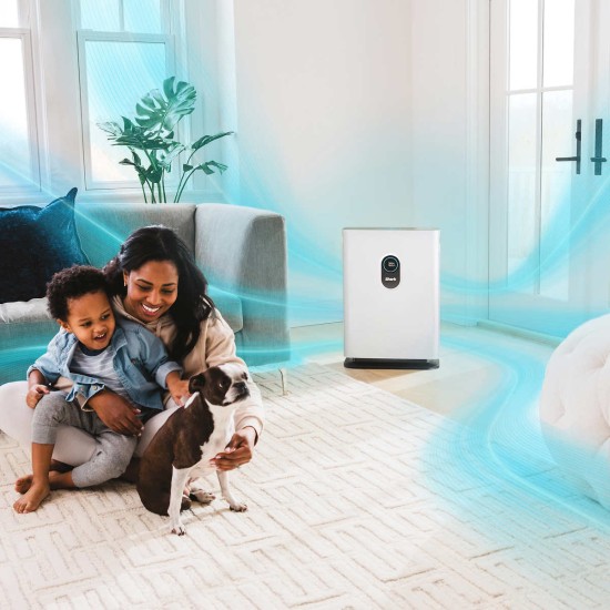  Air Purifier 4 with True HEPA Filter