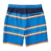 Men’s Swim Short, Multi, Large