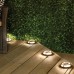 Sterno Home Solar Multi-Surface Light, 4-pack