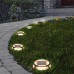  Solar Multi-Surface Light, 4-pack