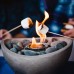Terraflame Wave Deluxe Fire Bowl Set with 6-pack Pure Fuel and Snuffer