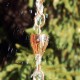 The Crocus Rain Chain by 