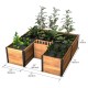 Vita Mezza 6′ x 6′ Keyhole Garden Bed