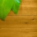 Vita Mezza 6' x 6' Keyhole Garden Bed