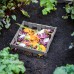  Urbana Composting Keyhole Garden Bed