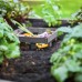  Urbana Composting Keyhole Garden Bed