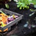  Urbana Composting Keyhole Garden Bed