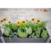 Urbana Greens Elevated Garden