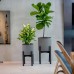  Växa Planters, 2-pack