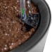  Växa Planters, 2-pack