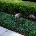  Landscape Lighting 4-Pagoda Light Brass LED Expansion Kit