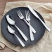  Selene Mirror 20-piece Flatware Set