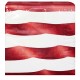 Arstyle Oval Paper Plate & Napkin Bundle, Old Glory Fourth of July, 200-count