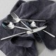  Capri 20-Piece Flatware Set