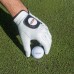  Leather Golf Glove 4-pack- Right Handed, One Color, Large