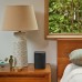  One SL Wi-Fi Speaker, Shadow Edition, 2-pack