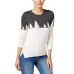 Celebrate Shop  Women’s Colorblock Christmas Cotton Sweater (L, Charcoal Heather Gray)