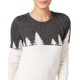Celebrate Shop  Women’s Colorblock Christmas Cotton Sweater (L, Charcoal Heather Gray)
