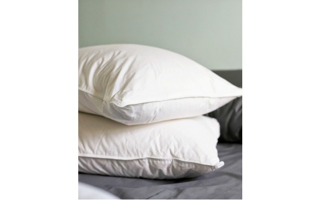  Luxe Down Filled Compartment 2-Pack of King Pillows, Medium Firm, White