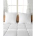 Cheer Collection 2-Pack of Euro Pillows, 26″ x 26″, White