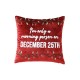  Morning Person Decorative Pillow, 20″ x 20″, Red