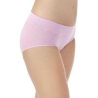 Vanity Fair Seamless Full-Coverage Brief 18170 (Lilac, XL)