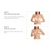  Women’s Slimline Seamless Minimizer Bra (Naturally Nude, 38D)