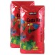  Costa Rica Coffee 3 lb, 2-pack