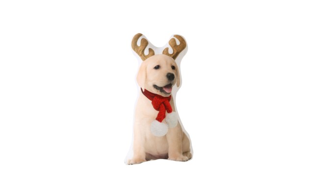  Lucky Ears Pet Pillow, Beige, 12×18