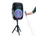   15″ Bluetooth Rechargeable Speaker with LED Lights, Microphone and Stand