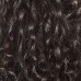  Glossify Customizable Color Gloss, Ash Brown