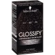  Glossify Customizable Color Gloss, Ash Brown