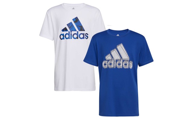  Youth 2-pack Tee, White, Medium (10/12)