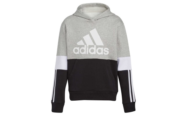  Youth Fleece Hoodie, Gray, Large (14/16)