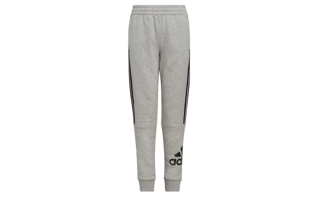  Youth Jogger, Gray, Medium (10/12)