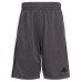  Youth Short, 2-pack, Black, Large (14/16)
