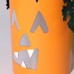   Halloween Character Lanterns, 2 pk.