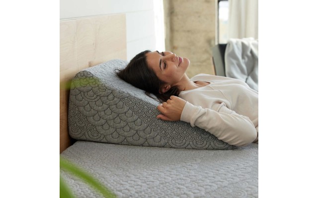  Whitney Wedge Pillow with Gel Memory Foam