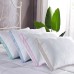  Pillow Collection, 2-pack, Pink, Queen Size
