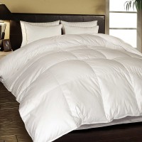 Hotel Grand White Goose Feather & Down Comforter, One Color, Twin