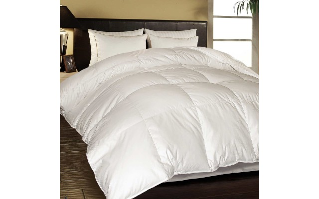  White Goose Feather & Down Comforter, One Color, Twin