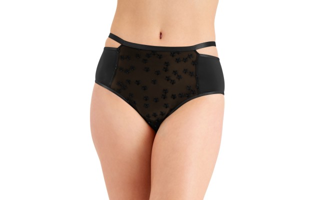  Women's Sheer Embroidered Daisy High Rise Brief Underwears, Black, Medium