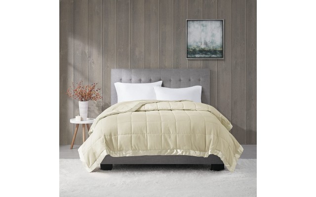  Windom Microfiber Down Alternative Stain Resistant Blanket, Ivory, Full/Queen