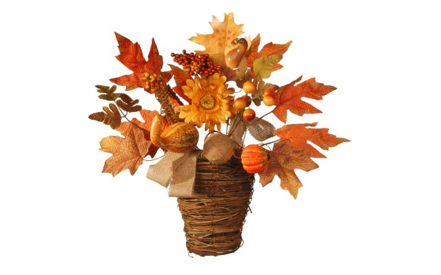  National Tree 16